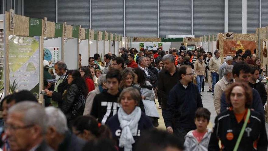 Feria de Ecocultura del pasado año en el recinto ferial de Ifeza.