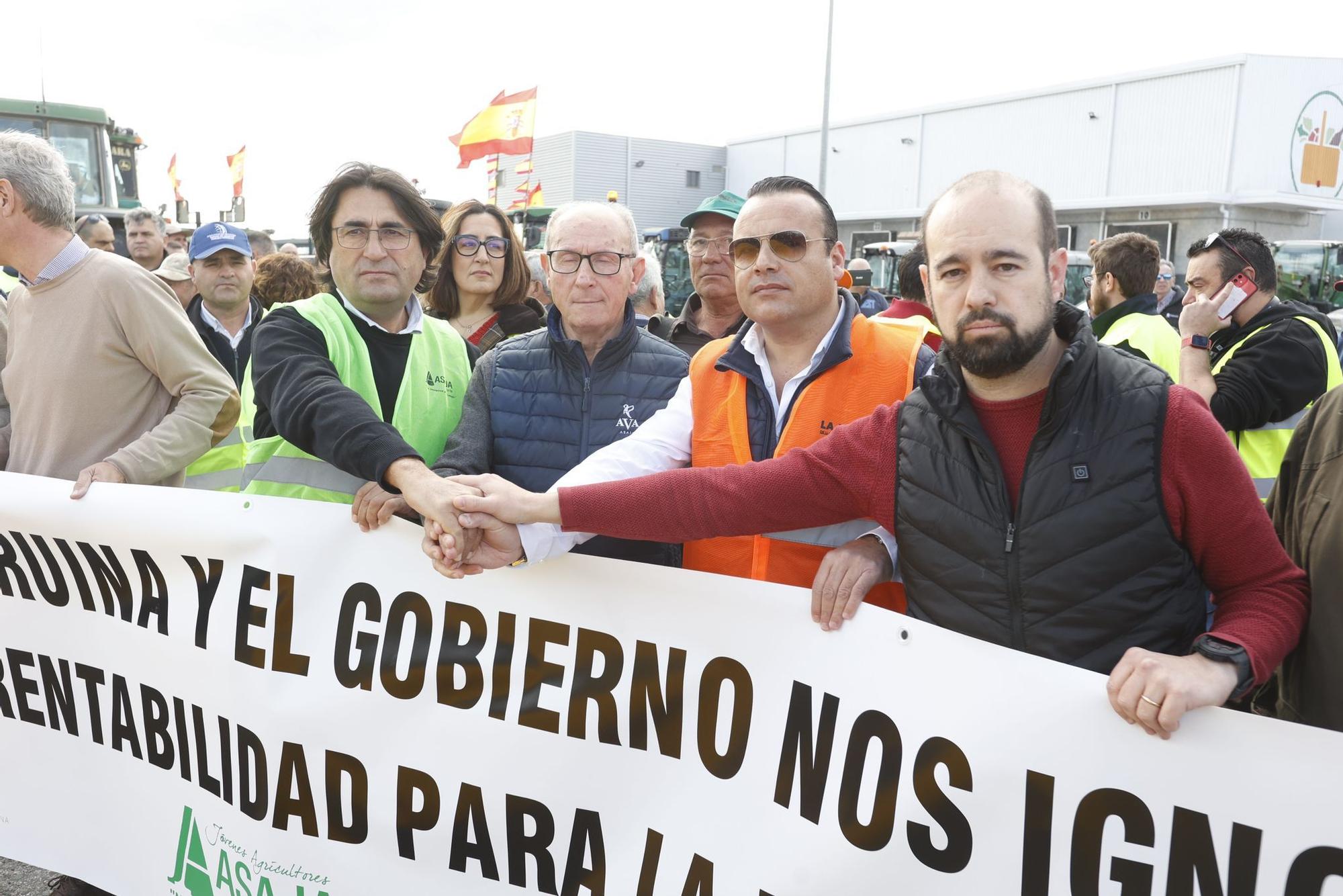 Los agricultores se concentran en tres comarcas de la provincia de Alicante en una tractorada por carreteras secundarias