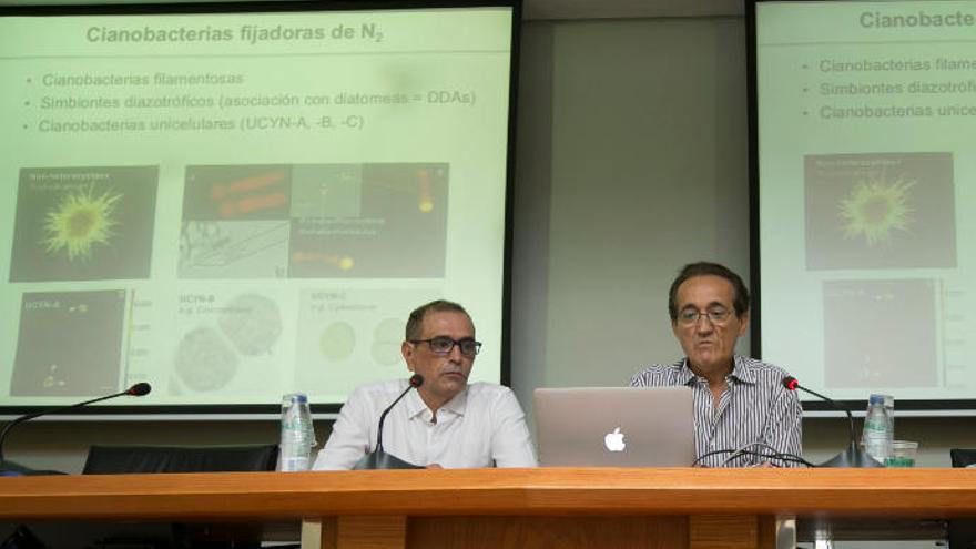 Los investigadores Javier Arístegui (d) y Antonio González Ramos.