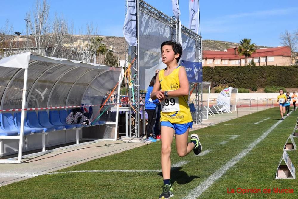 Cross de Jumilla 5