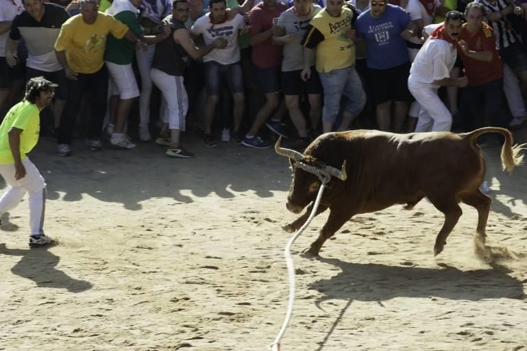 La carrera del Toro Enmaromado 2017 Razonador