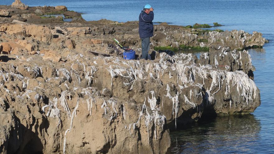 Toallitas húmedas: la gran plaga ecológica que sale de los hogares