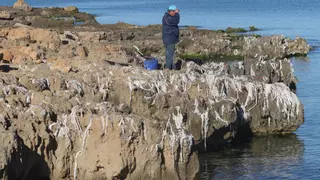 Toallitas húmedas: la gran plaga ecológica que sale de los hogares