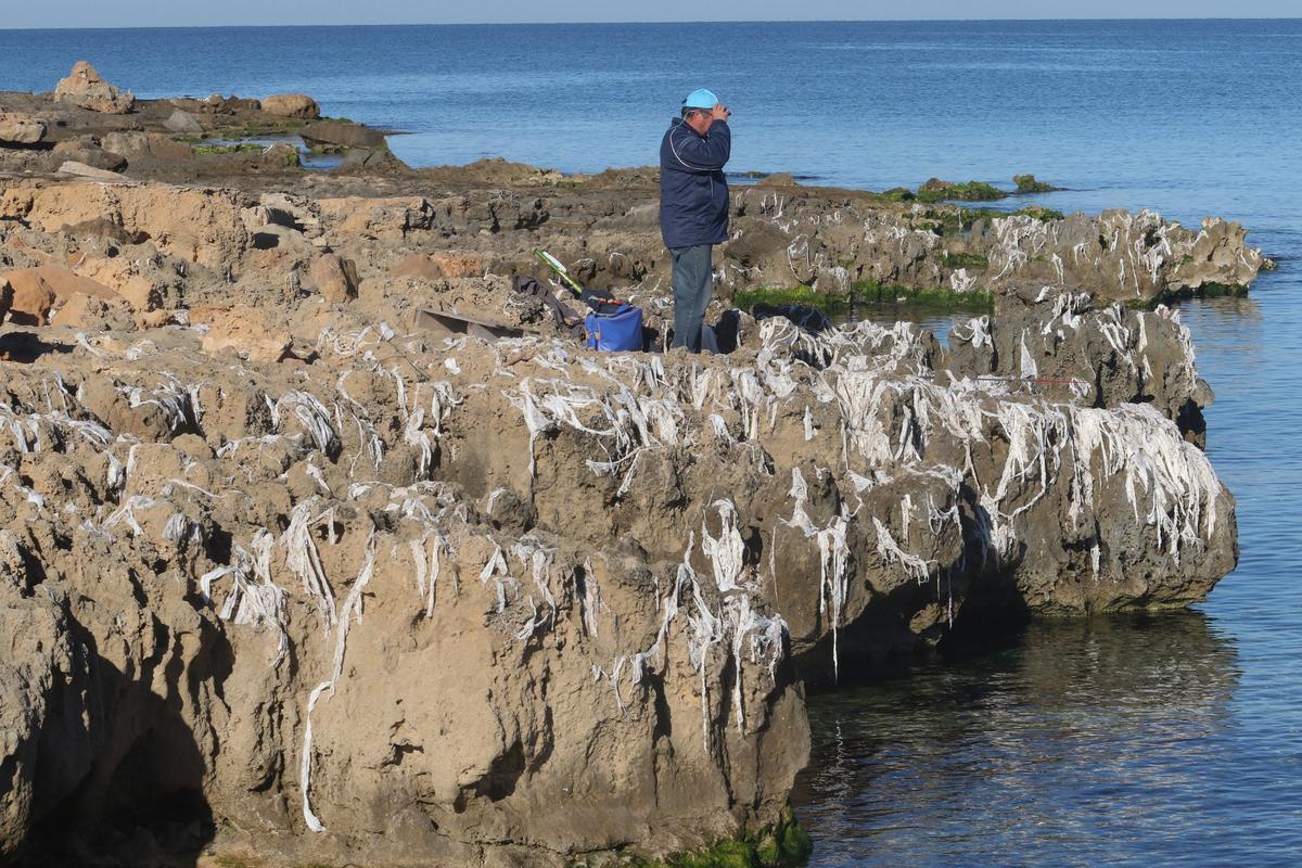 Tovalloletes humides: la gran plaga ecològica que surt de les llars Tovalloletes humides: la gran plaga ecològica que surt de les llars