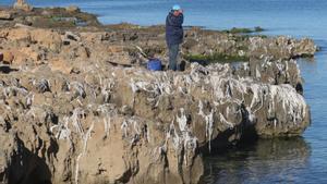 Tovalloletes humides: la gran plaga ecològica que surt de les llars
