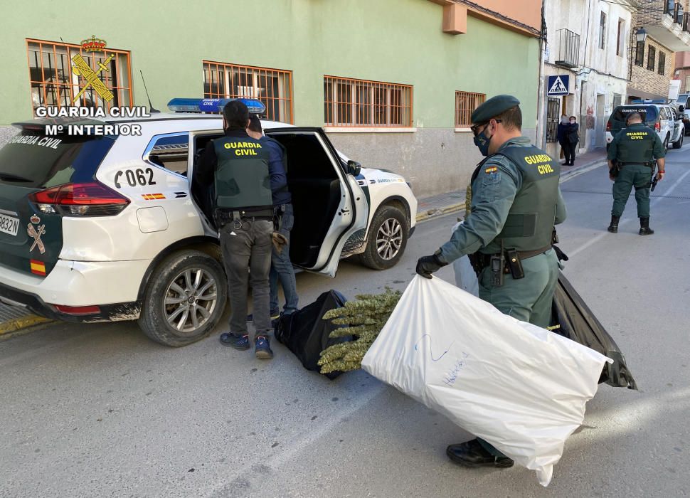 Desarticulado un clan familiar dedicado al narcotráfico en Cieza