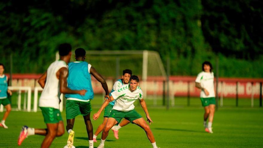 Sportfreunde Lotte, el modesto rival con el que echará a rodar el Betis de Manuel Pellegrini 2026/27