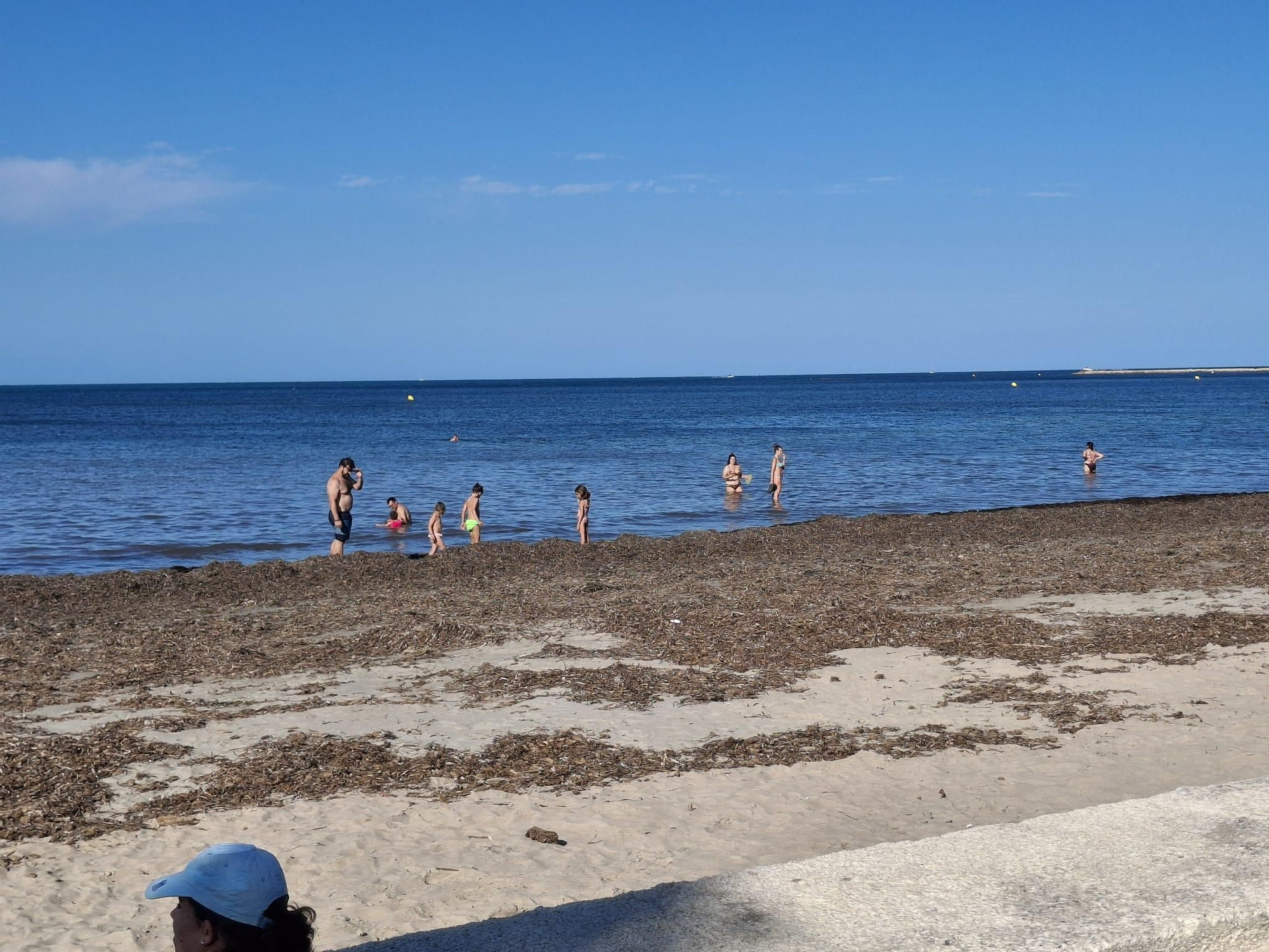 ¡Esto es vida!: manto de posidonia, aguas cristalinas y paz absoluta en la Marineta Cassiana de Dénia