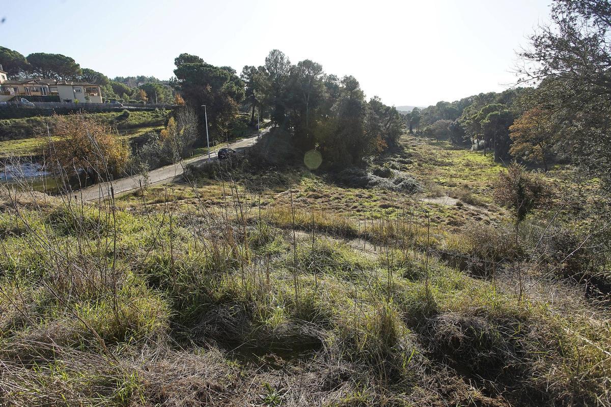 251217DDG_Marc Mart (228696821)