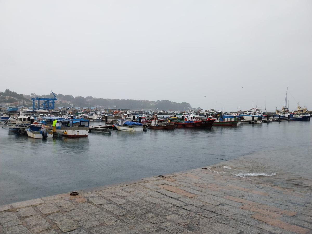 La flota de bajura de Bueu amarrada a puerto en un día de temporal.