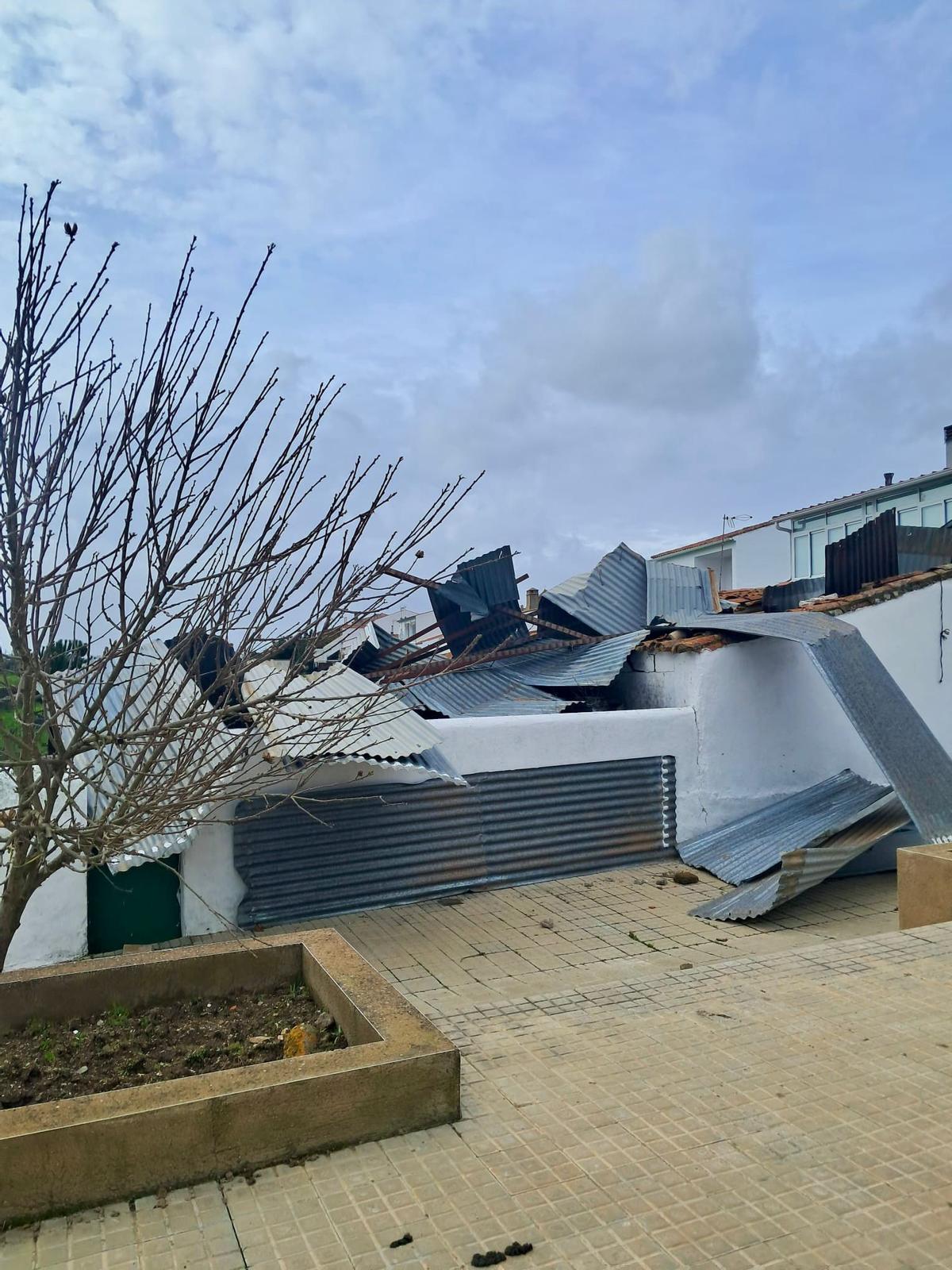 Consecuencias de la borrasca en Cedillo.