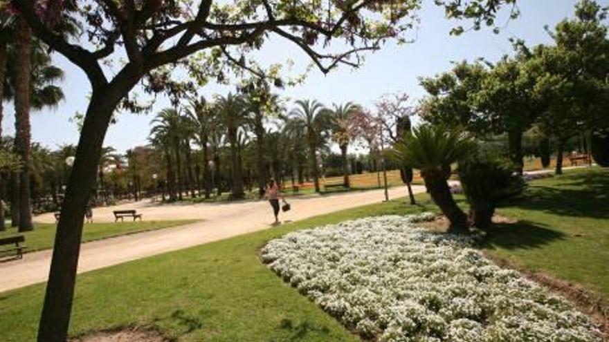 Rescatan a un niño herido grave tras caer a un foso en Alicante