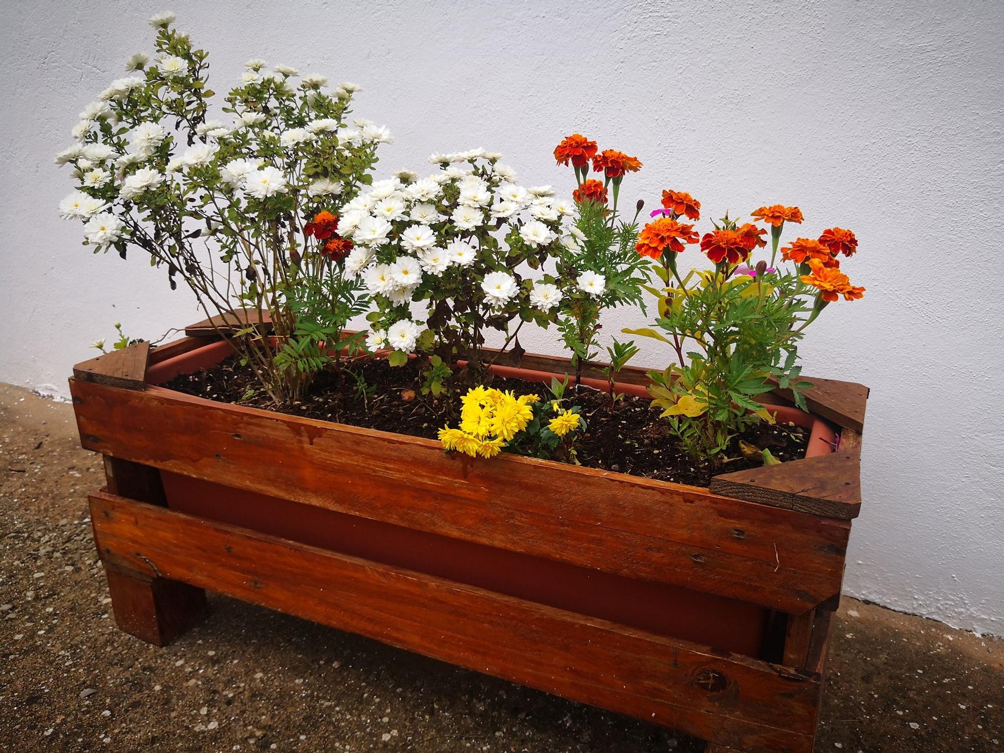 'Navajas ponte guapa' llena el municipio de flores