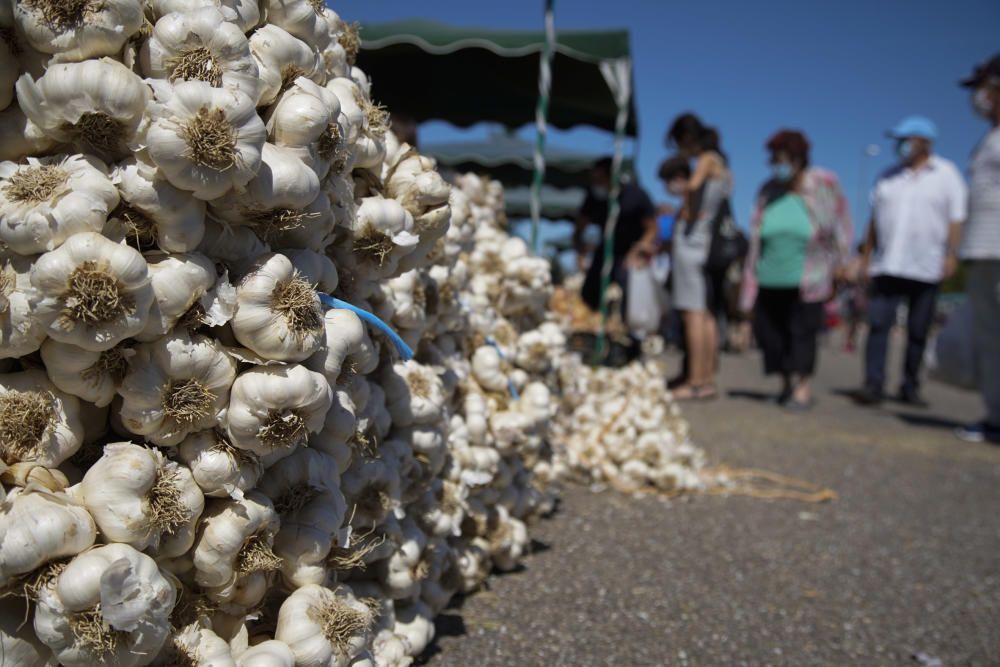 La Feria del Ajo de Zamora, reconvertida en Ifeza