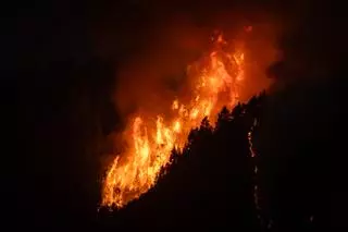 Los responsables del incendio de Tenerife "lo hicieron a mala idea"