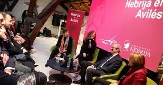 "La Nebrija traerá a Avilés inversión y jóvenes", replica el PSOE a IU y Podemos