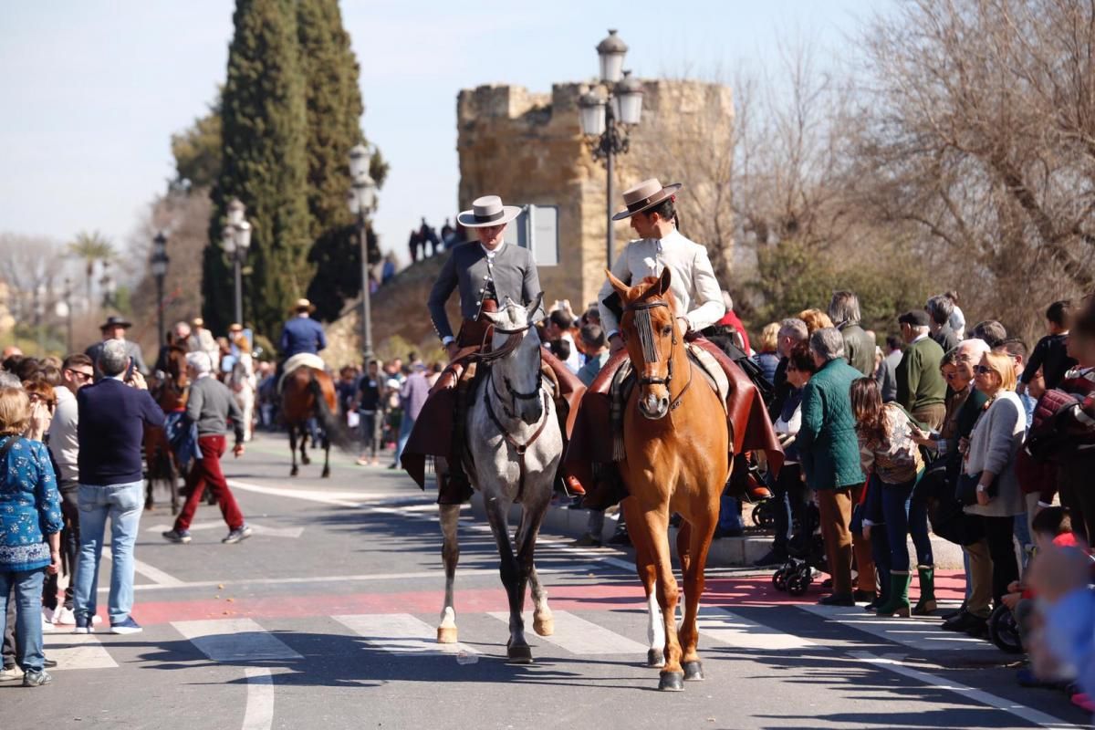 Cientos de caballistas y engances participan en la Marcha Hípica del 28-F en Córdoba