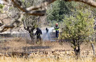 Sofocado un fuego agrícola en Puig d’en Valls después de una operación de casi cuatro horas