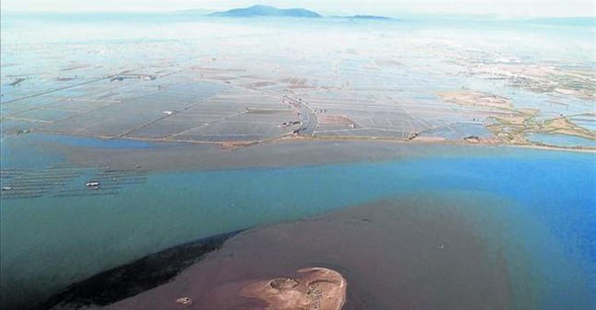 La punta del Fangar, al delta de l’Ebre, vista des de l’aire. La punta del Fangar, al delta de l’Ebre, vista des de l’aire.