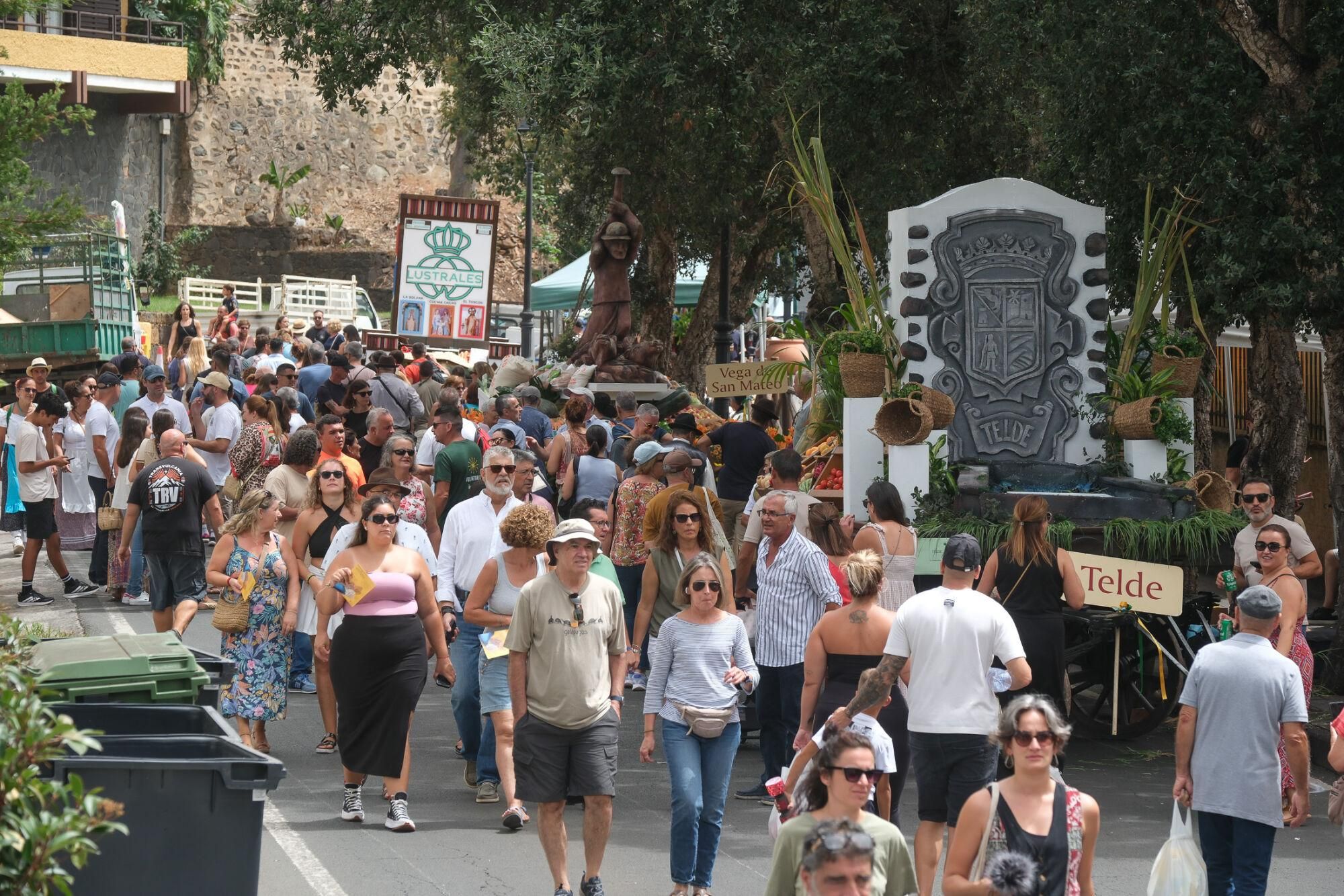 Ambiente previo a la romería del Pino. Las carretas esperan su turno en el Castañero Gordo.