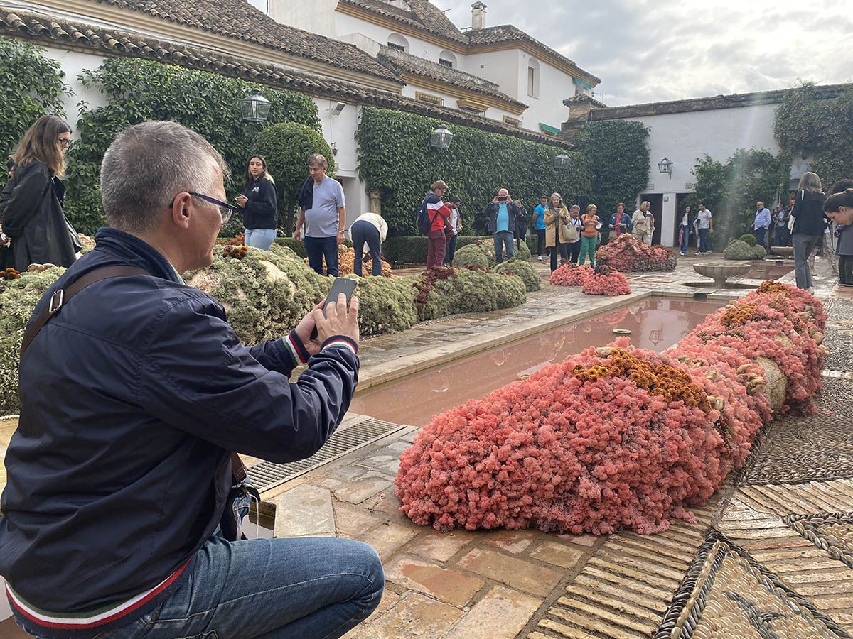 Córdoba Flora 2022 Cordero Atelier Palacio de Viana