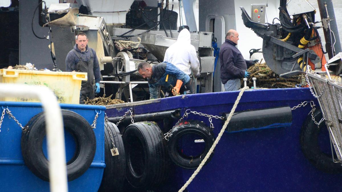 Bateeiros trabajando ayer a bordo en el muelle mejillonero de Bueu.