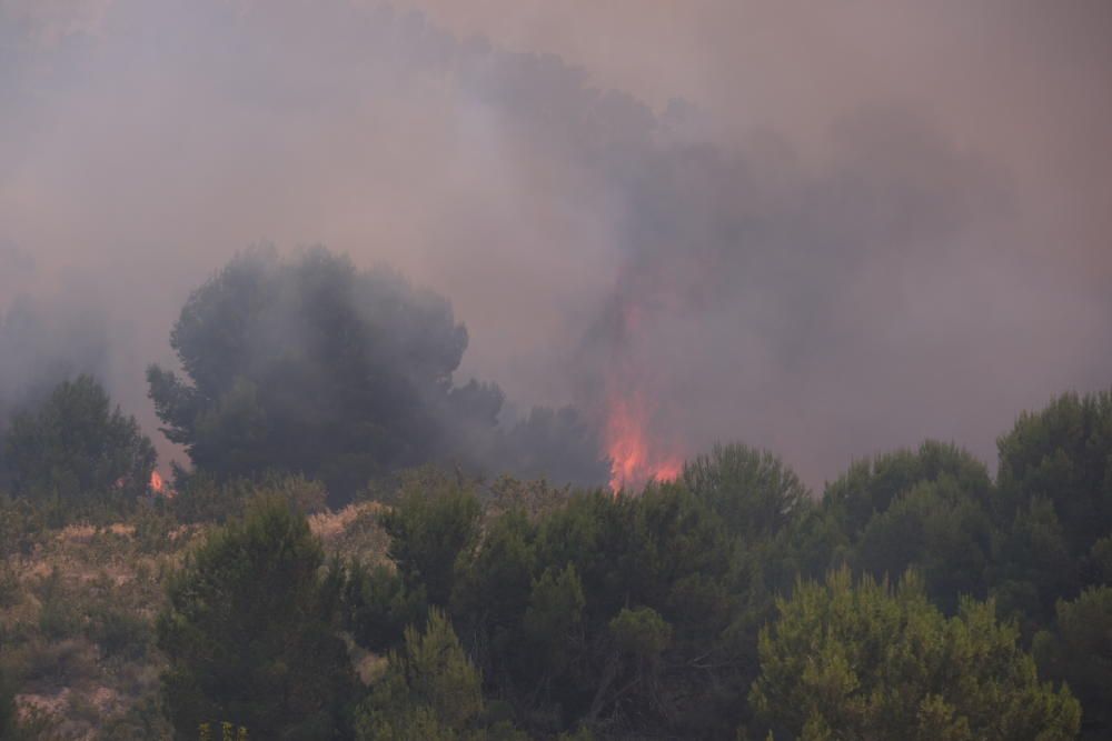 El fuego se ha originado al mediodía en la pedanía de La Romaneta y amenaza con extenderse por el monte y afectar a varias casas de campo.