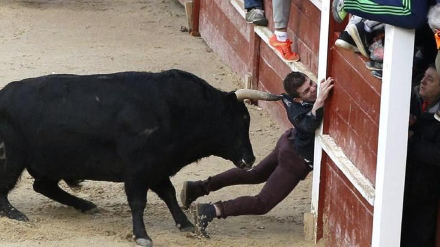 El toro embiste al joven, el más grave de los heridos