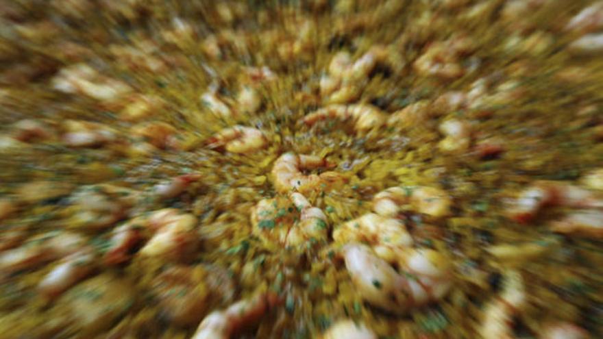 Detalle de un arroz a banda en el Congreso Mundial del Arroz 2011 que se celebra del 29 de septiembre al 2 de octubre en la Ciudad de las Artes y las Ciencias de Valencia.