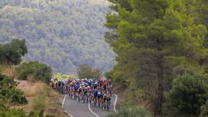 Pogacar entra a Catalunya  com un heroi de la Vuelta