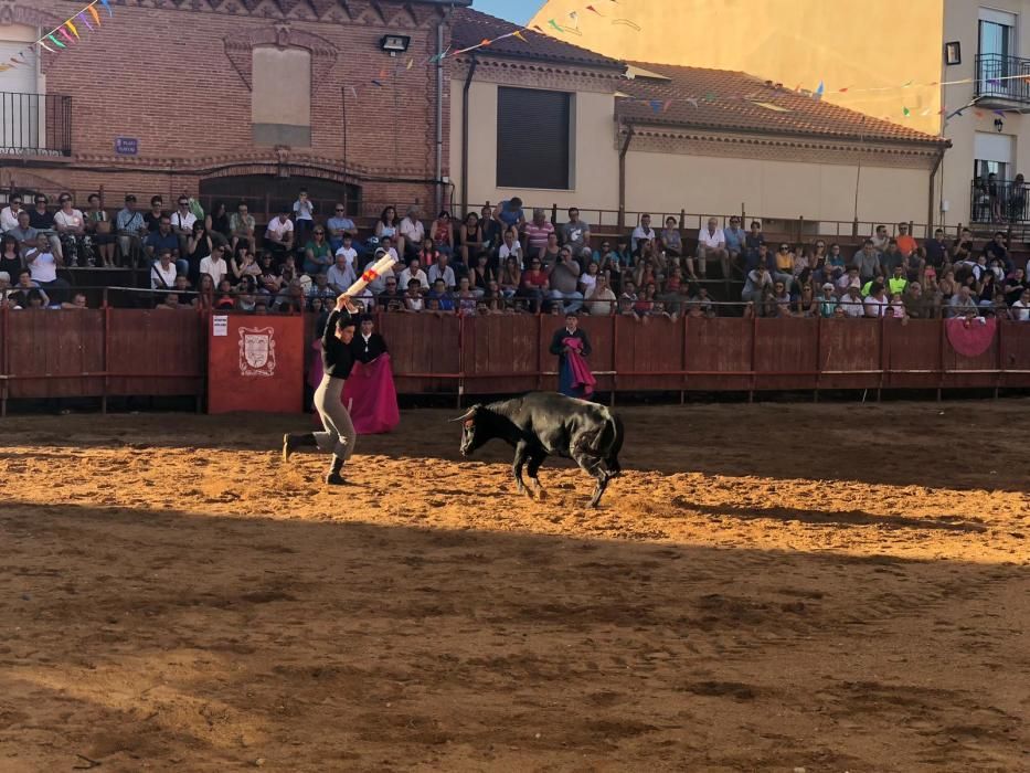 Los encierros de Morales de Toro, en imágenes