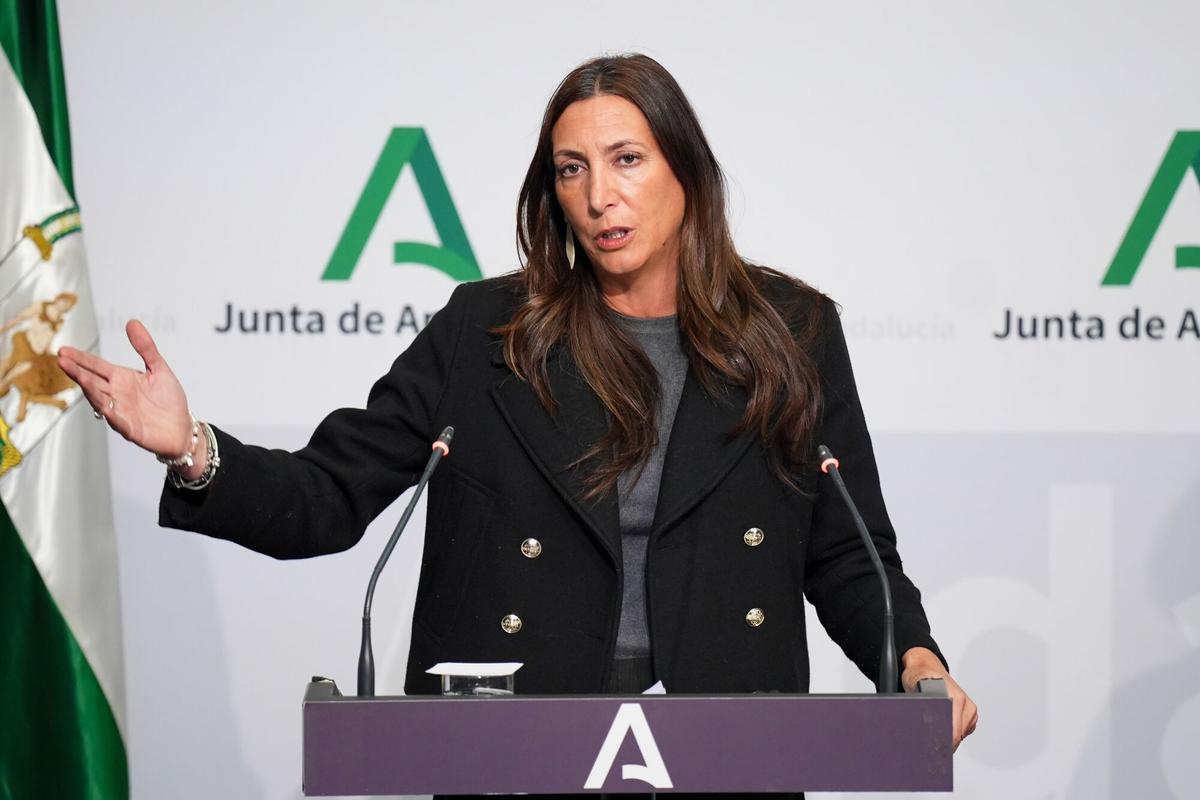 26/11/2025 La consejera de Inclusión Social, Juventud, Familias e Igualdad de la Junta de Andalucía, Loles López, interviene en la rueda de prensa posterior al Consejo de Gobierno. A 26 de noviembre de 2025, en Sevilla (Andalucía, España). El Consejo de Gobierno de la Junta de Andalucía tiene ha presentado, en su reunión semanal de este miércoles, 26 de noviembre, el Anteproyecto de Ley por el que se crea el Colegio Profesional de Detectives Privados de Andalucía, además, de realizar una Declaración Institucional con motivo del Día Internacional para la eliminación de la violencia contra la mujer, entre otros asuntos abordados. POLITICA Francisco J. Olmo - Europa Press