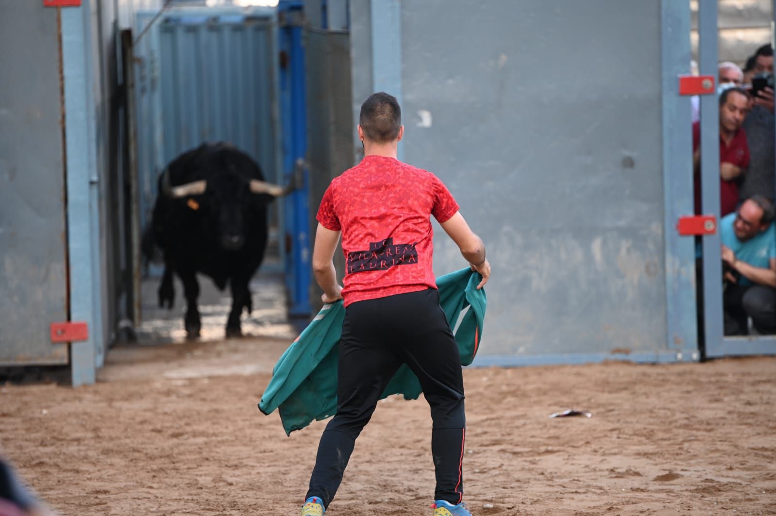 Bou per la vila en les Festes de San Pasqual de Vila-real