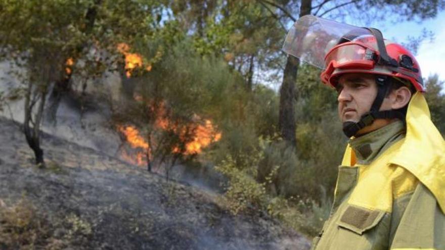 Un brigadista en la extinción del incendio forestal declarado en O Barco el 12 de agosto. / brais lorenzo