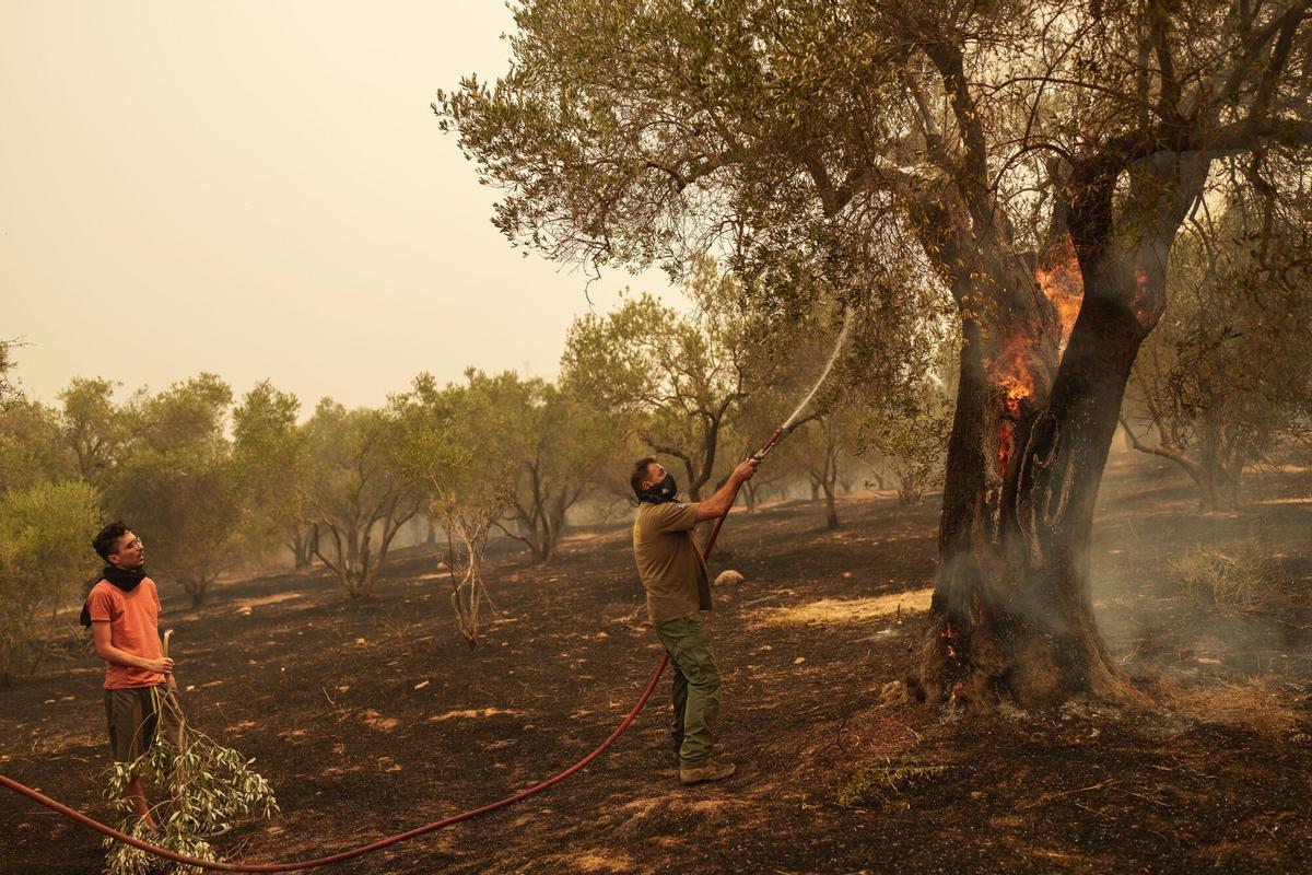 Al menos a 26 personas muertas en una nueva ola de incendios en Grecia