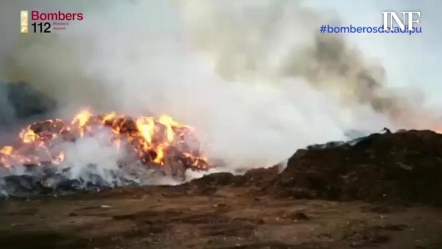 El fuego del ecoparque amenaza a 60 perros de una protectora y una pinada