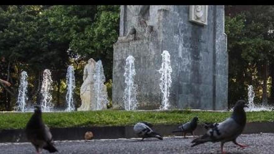 Palomas en el parque García Sanabria, en Santa Cruz.