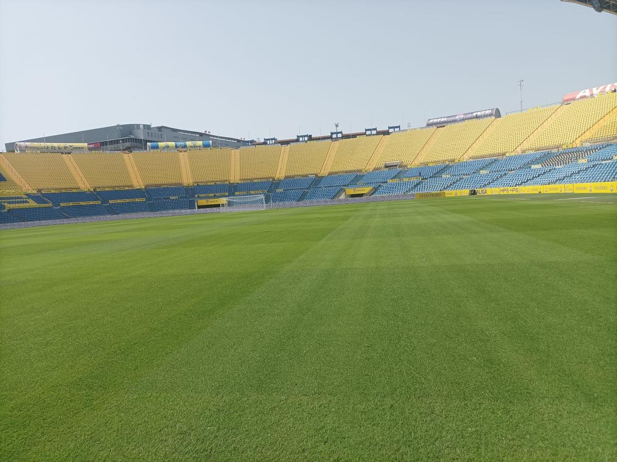 Primer plano de la situación del césped.