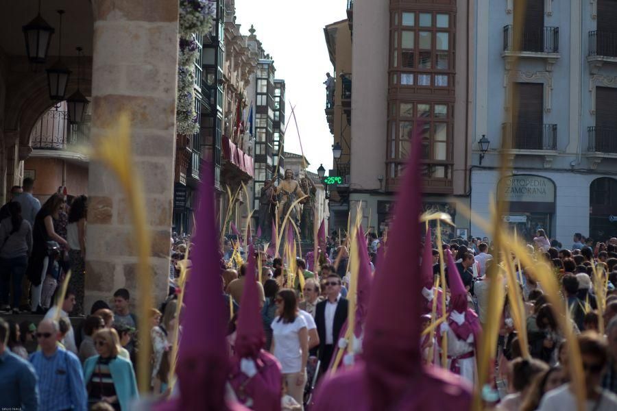 Semana Santa en Zamora: La Borriquita