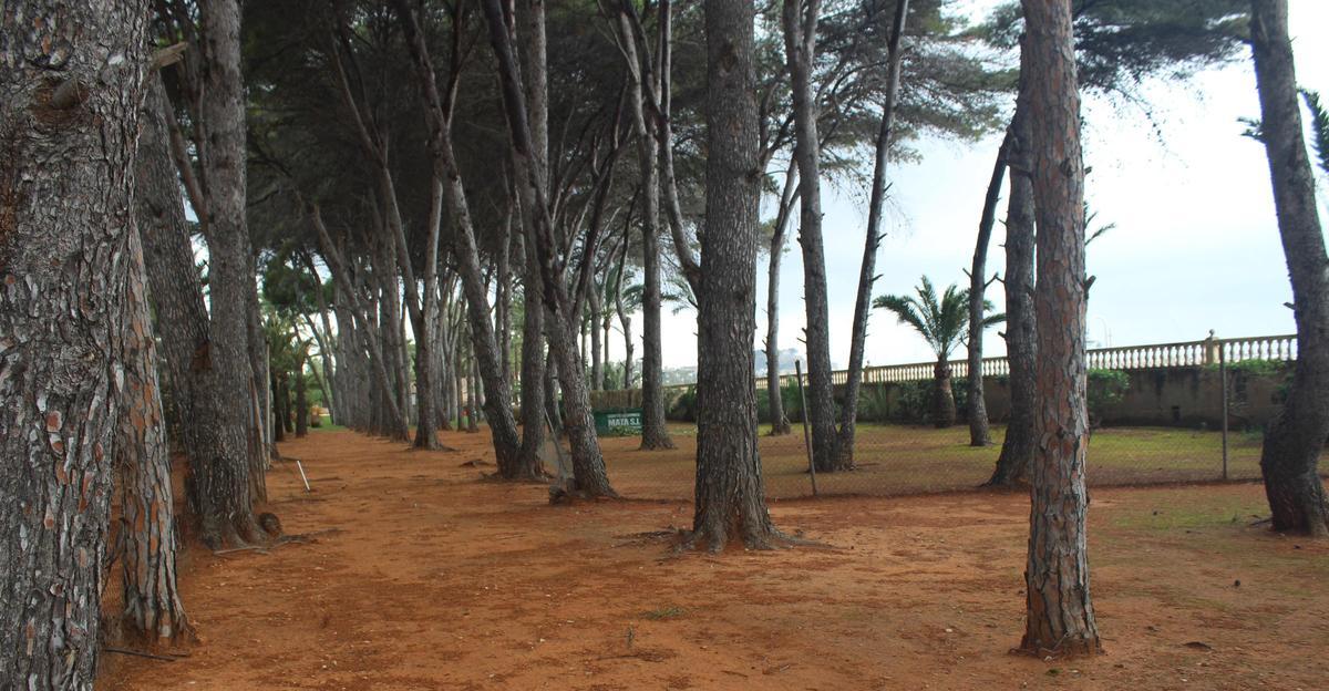 El excepcional bosque que será zona verde de uso público