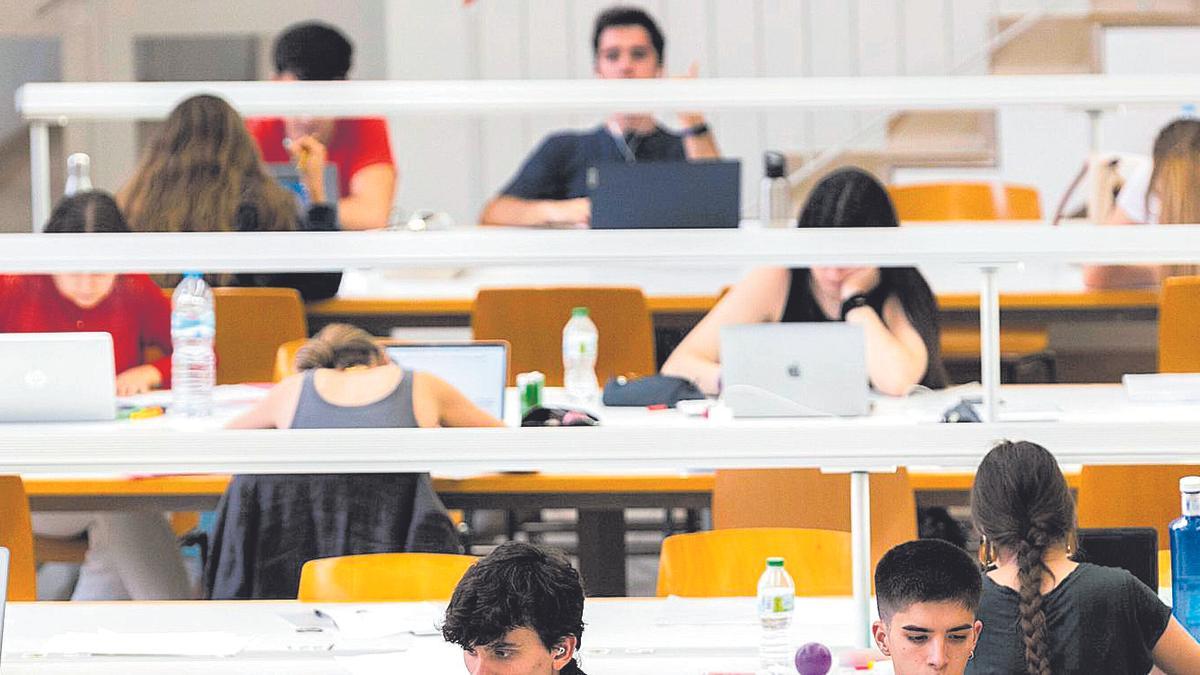 Alumnado estudiando en la Biblioteca Gregori Maians de la Universitat de València, en el campus de Tarongers.