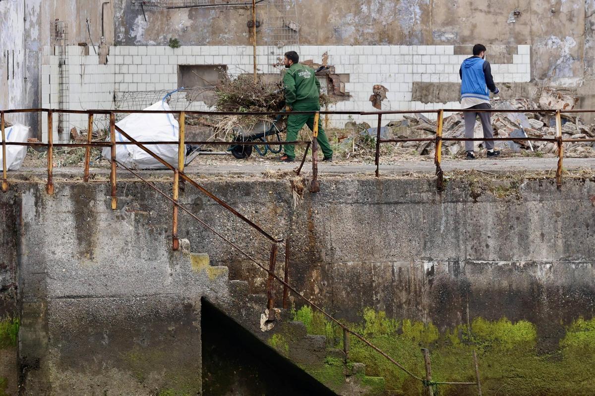 Pymar arranca los trabajos de limpieza en sus terrenos de Naval Gijón (en imágenes)