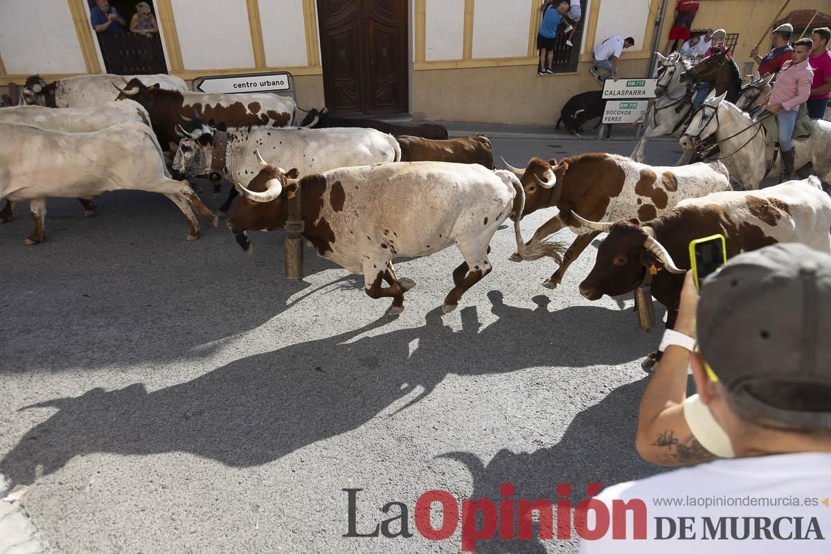 Cuarto encierro en las Fiestas de Moratalla
