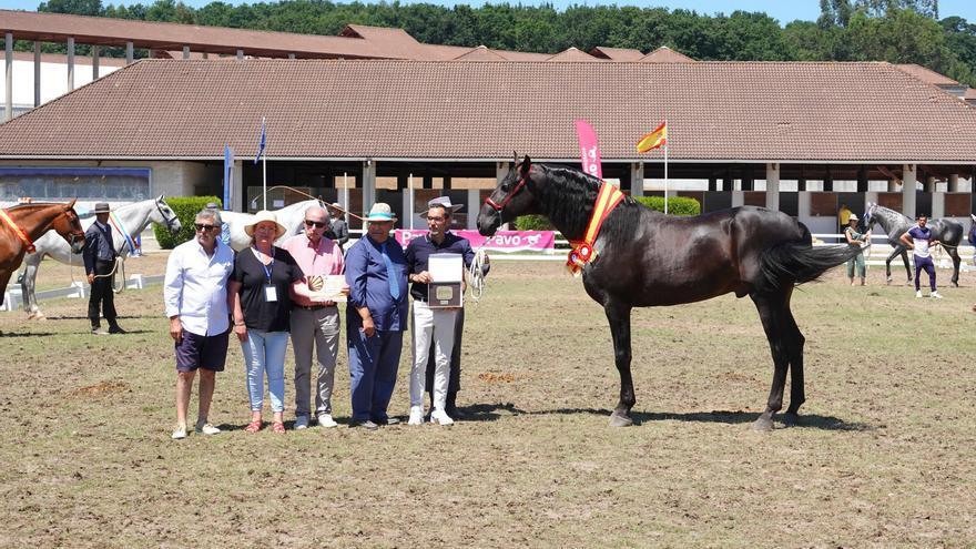 El campeonato de Pura Raza Española y el trofeo de enganches clausuran Equina