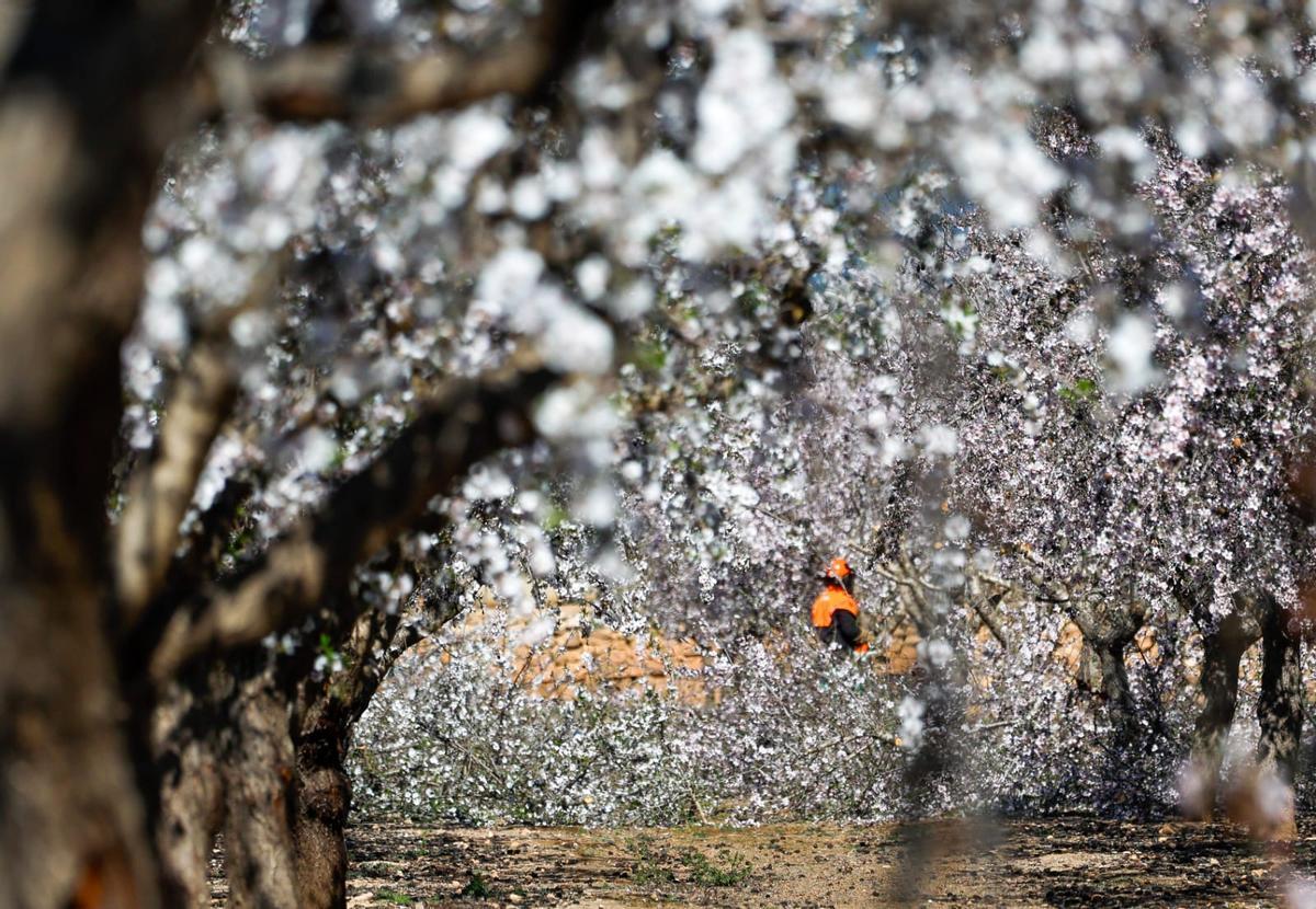 Protesta conta la planta de biometano de Llíria por el inicio de las obras