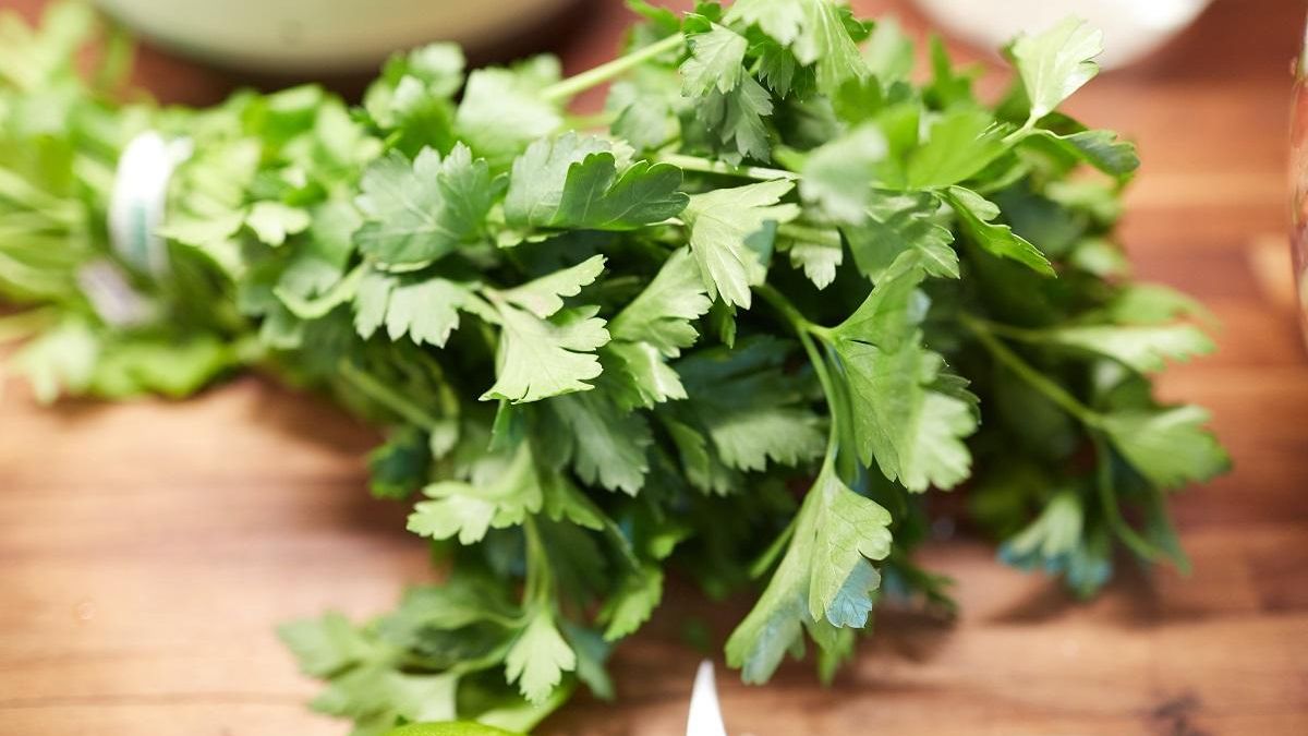 Té de perejil: las propiedades que contiene esta hierba son beneficiosas  para la salud