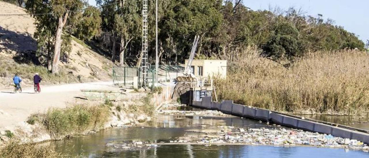 La CHS multará a los regantes que toleren la basura en los azarbes