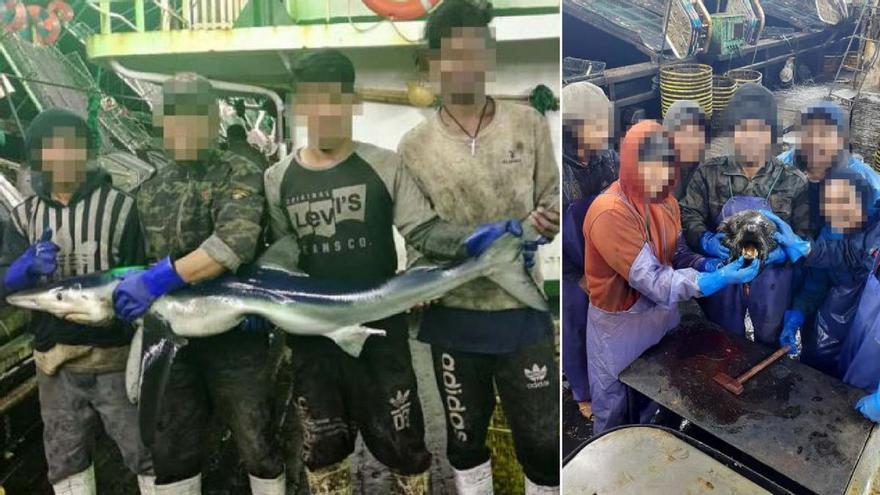 La flota china del calamar, depredación a todos los niveles: «Hervía agua destilada para beber. Lo hice durante 20 meses»