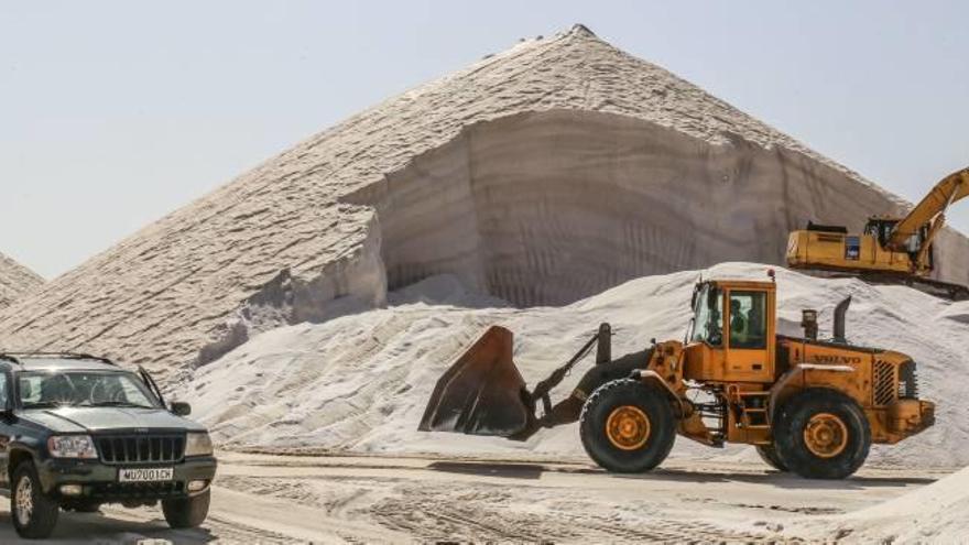 La salinera de Torrevieja prevé extraer más de 400.000 toneladas de sal esta campaña