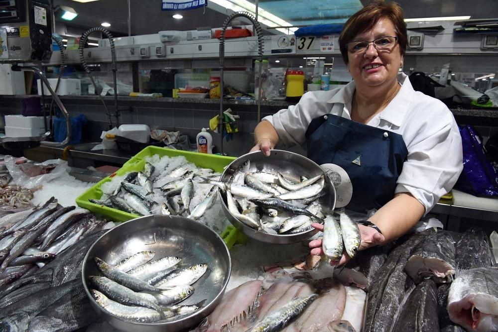 San Juan A Coruña 2017: Sardinas en las plazas